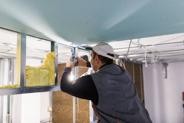 Professional Insulation Contractor in Bonnetsville, NC