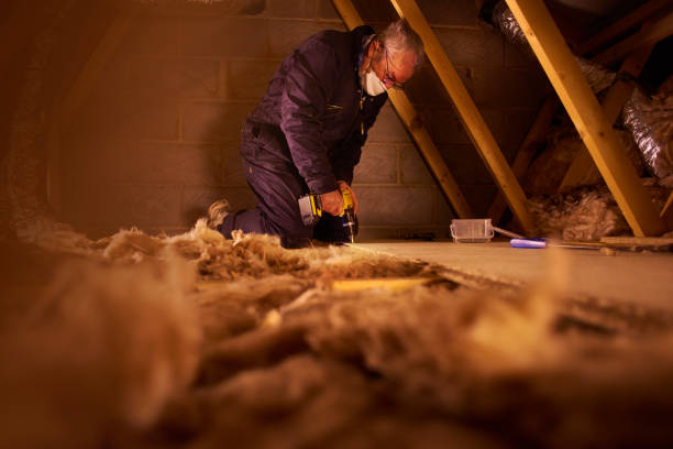 Best Eco-Friendly Insulation in Bonnetsville, NC